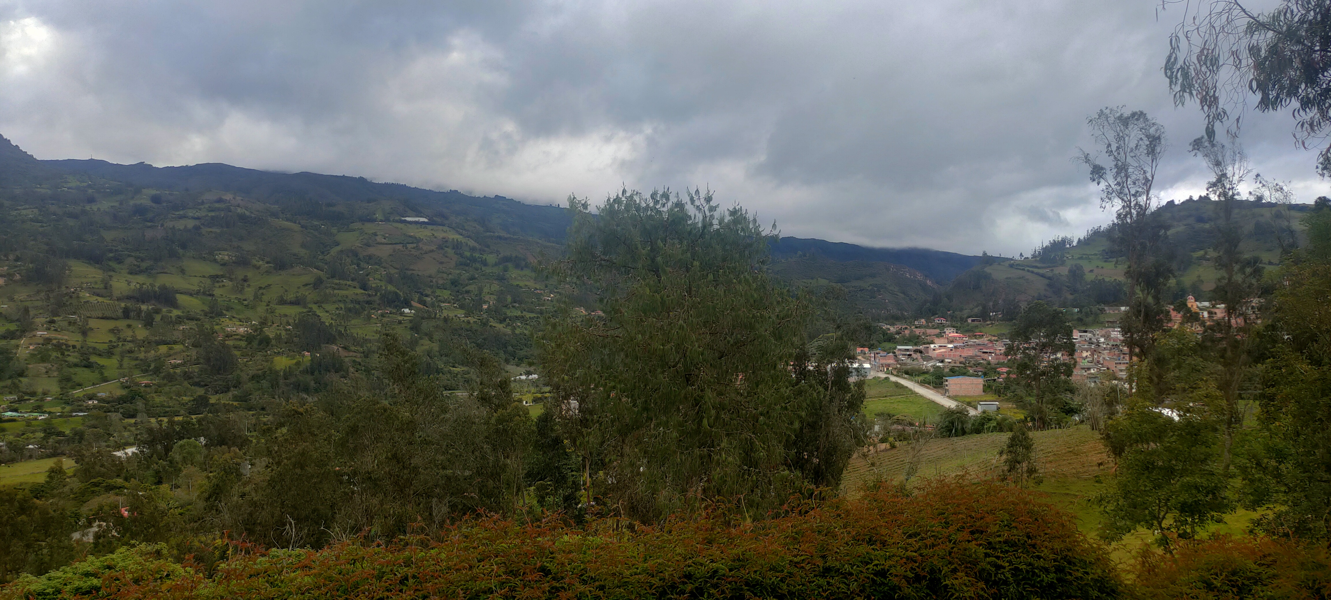 Mesalta
